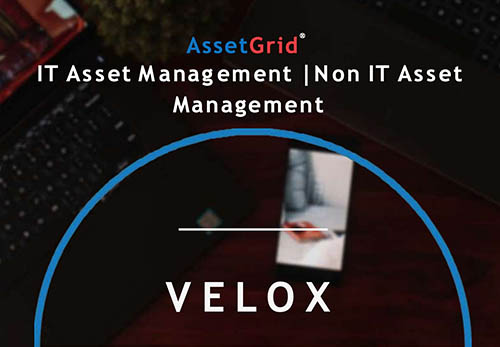 asset grids